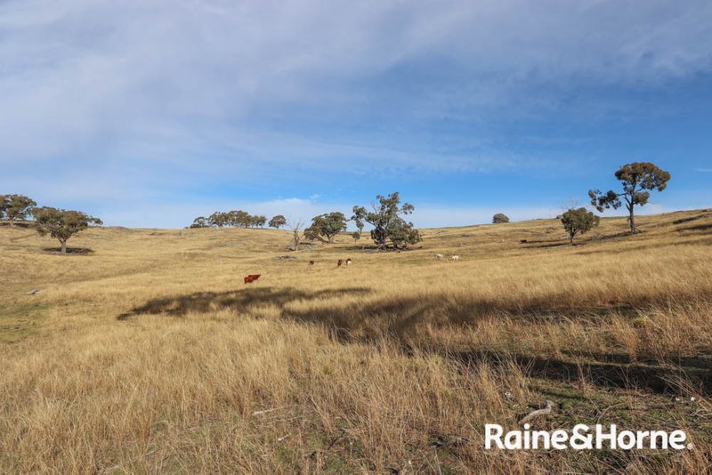 Photo - Lot 113 Whalans Lane, Duramana NSW 2795 - Image 6