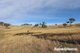 Photo - Lot 113 Whalans Lane, Duramana NSW 2795 - Image 6