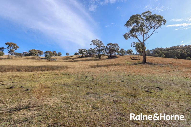 Photo - Lot 113 Whalans Lane, Duramana NSW 2795 - Image 7