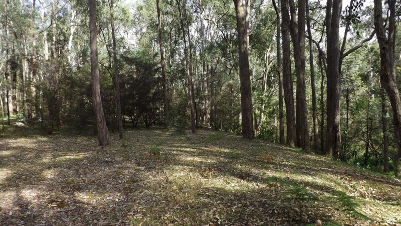 Photo - Lot 114 Commission Road, Howes Valley NSW 2330 - Image 5