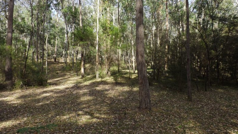 Photo - Lot 114 Commission Road, Howes Valley NSW 2330 - Image 7