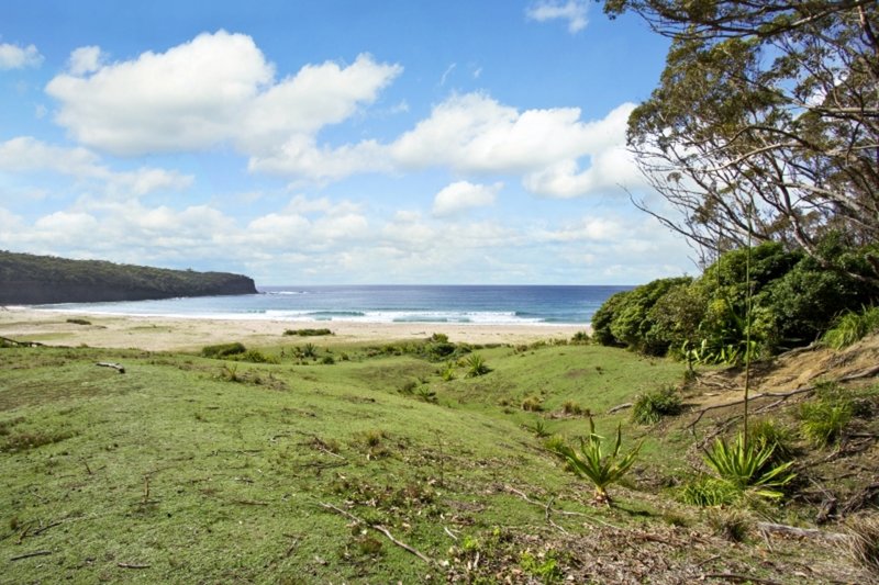 Photo - Lot 115 Pebbly Beach Road, Pebbly Beach NSW 2536 - Image