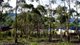 Photo - Lot 1/152 Tollard Drive, Rokeby TAS 7019 - Image 1