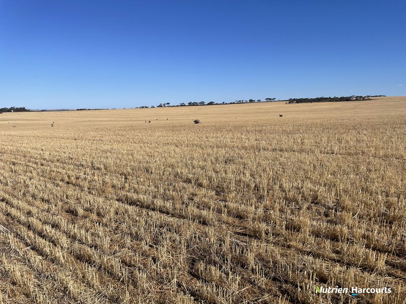 Photo - . Lot 11525 Ditchburn Road, Nyabing WA 6341 - Image 1