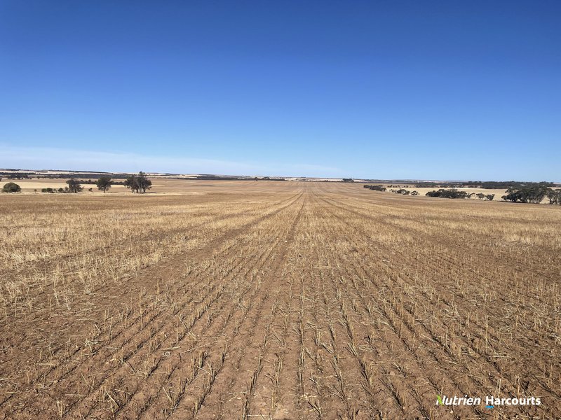 Photo - . Lot 11525 Ditchburn Road, Nyabing WA 6341 - Image 2