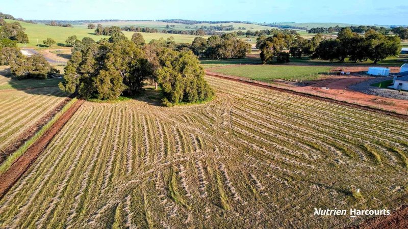 Photo - Lot 117 Daviesia Fairway, Ginginup WA 6503 - Image 7