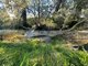 Photo - Lot 117 Mount Gammie Road, Thanes Creek QLD 4370 - Image 1