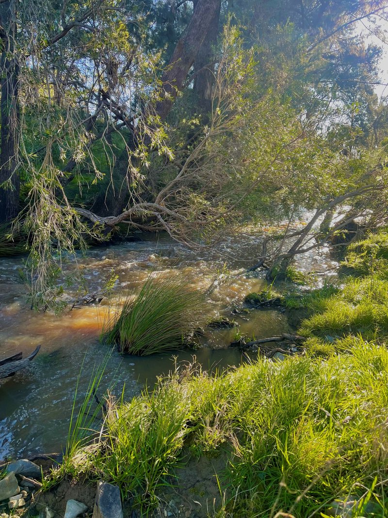 Photo - Lot 117 Mount Gammie Road, Thanes Creek QLD 4370 - Image 25