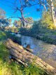 Photo - Lot 117 Mount Gammie Road, Thanes Creek QLD 4370 - Image 26