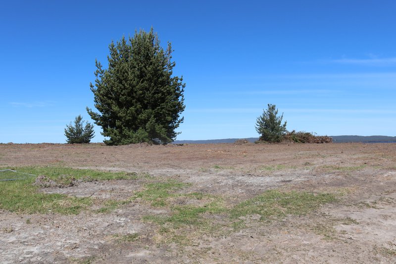 Lot 119 Beaufortia Gardens, Denmark WA 6333