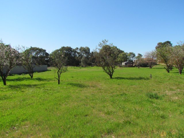 Lot 119 Langhorne Creek Road, Langhorne Creek SA 5255