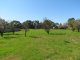 Photo - Lot 119 Langhorne Creek Road, Langhorne Creek SA 5255 - Image 1