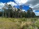 Photo - Lot 11/Lot 11 John Lane Road, Yarravel NSW 2440 - Image 2