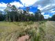 Photo - Lot 11/Lot 11 John Lane Road, Yarravel NSW 2440 - Image 4