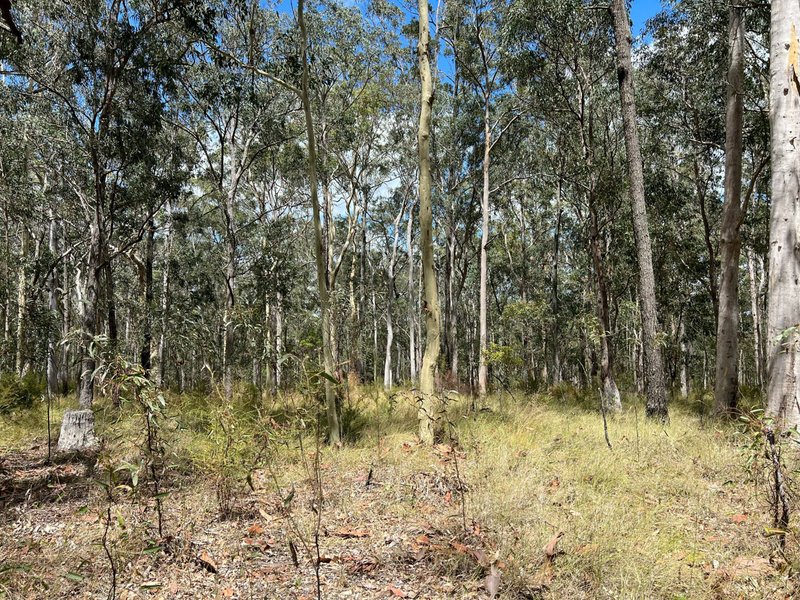 Photo - Lot 11/Lot 11 John Lane Road, Yarravel NSW 2440 - Image 5