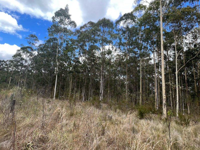 Photo - Lot 11/Lot 11 John Lane Road, Yarravel NSW 2440 - Image 7