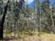 Photo - Lot 11/Lot 11 John Lane Road, Yarravel NSW 2440 - Image 8