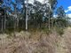 Photo - Lot 11/Lot 11 John Lane Road, Yarravel NSW 2440 - Image 9