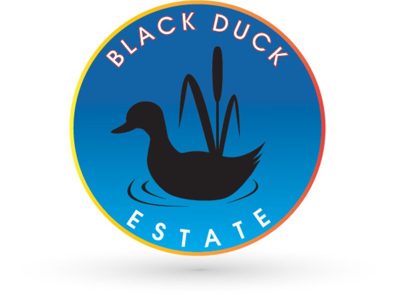 Photo - Lot 12 Black Duck Estate , Murrumba Downs QLD 4503 - Image 3