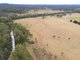 Photo - Lot 12 Jerrara Valley Jerrara Road, Marulan NSW 2579 - Image 15