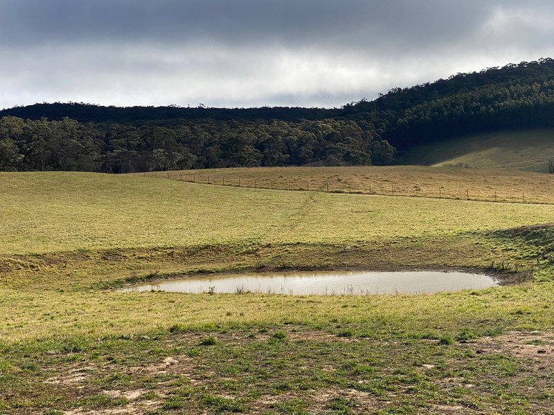 Photo - Lot 12 Kings Creek Rural Residential Land Release , Oberon NSW 2787 - Image 2