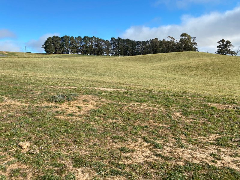 Photo - Lot 12 Kings Creek Rural Residential Land Release , Oberon NSW 2787 - Image 3