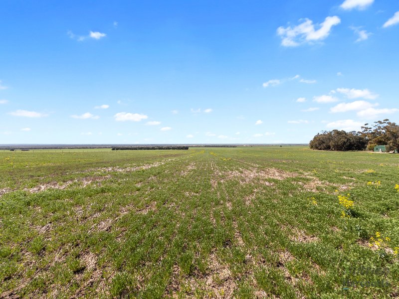 Photo - Lot 12 Main Street, Warooka SA 5577 - Image 4