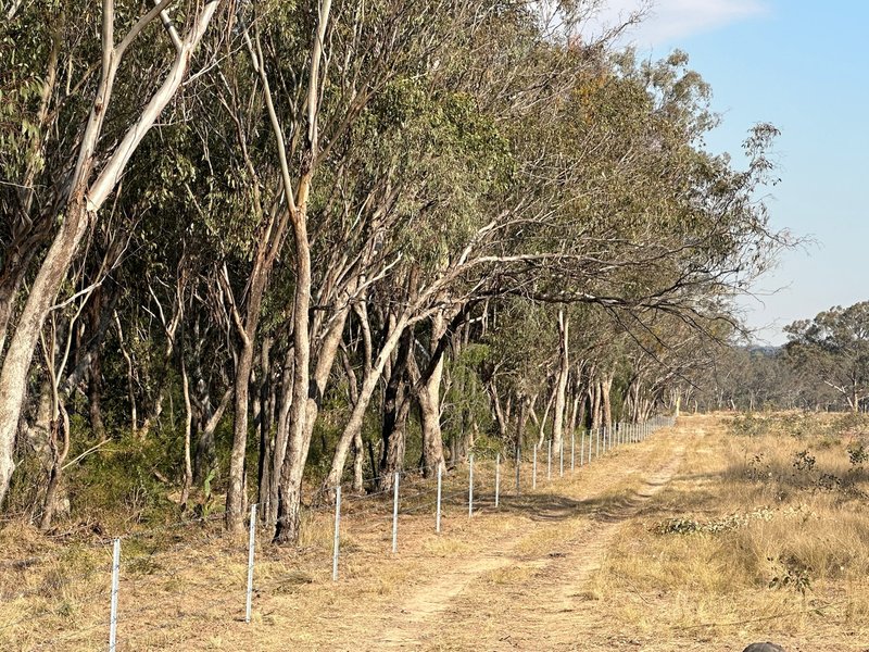 Photo - LOT 12 Meiklejohn Road, Karara QLD 4352 - Image 5