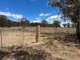 Photo - LOT 12 Meiklejohn Road, Karara QLD 4352 - Image 7