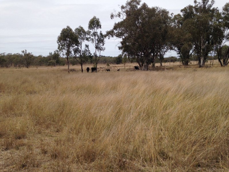 Photo - LOT 12 Meiklejohn Road, Karara QLD 4352 - Image 8