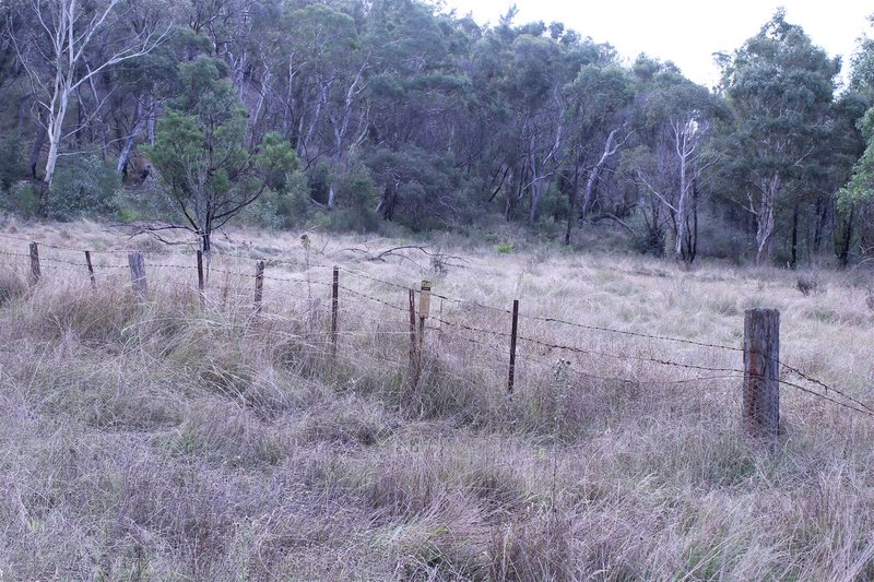 Photo - Lot 12 Ningee Nimbell Creek Road, Braidwood NSW 2622 - Image 3