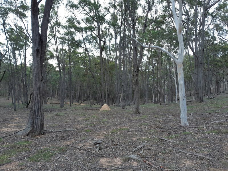 Photo - Lot 12 Timberlight Road, Windellama NSW 2580 - Image 6