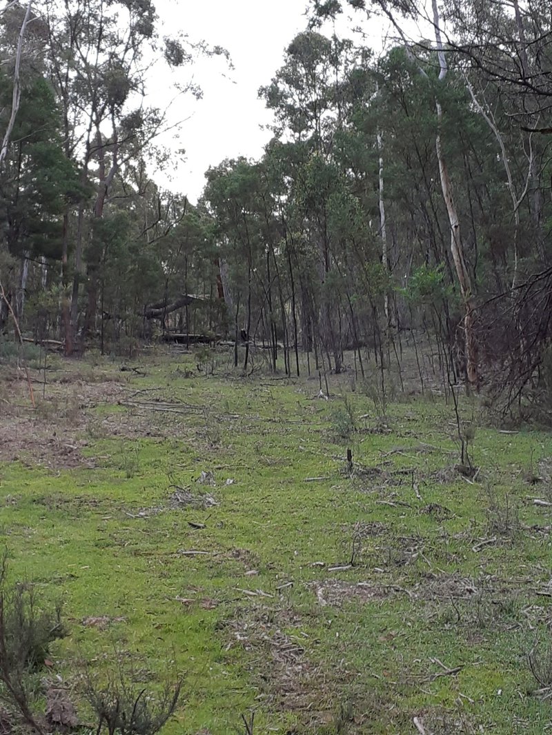 Photo - Lot 12 Timberlight Road, Windellama NSW 2580 - Image 7