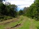 Photo - Lot 12 Timberlight Road, Windellama NSW 2580 - Image 10