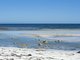 Photo - Lot 12 Watson Beach Road, Minlaton SA 5575 - Image 9