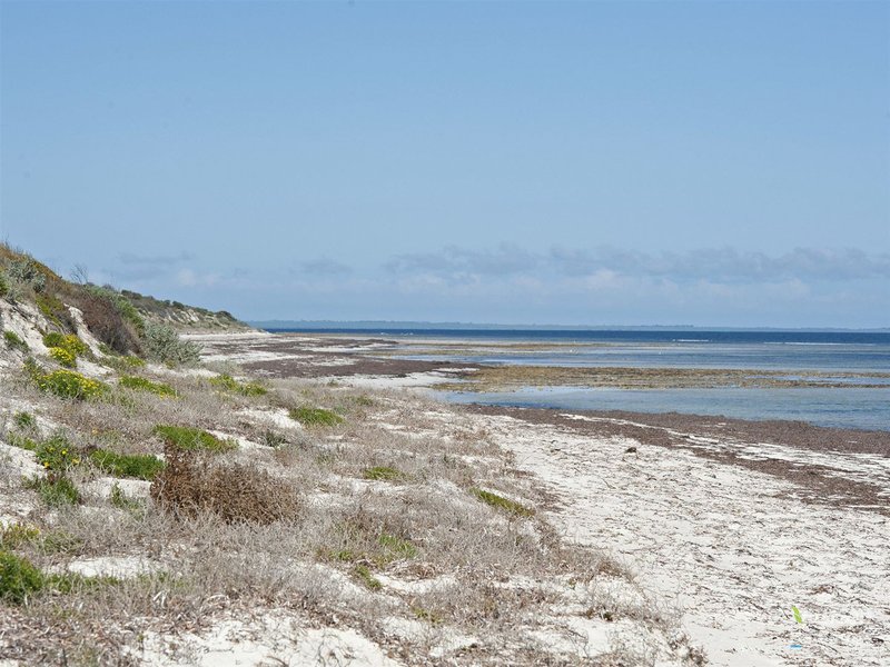 Photo - Lot 12 Watson Beach Road, Minlaton SA 5575 - Image 13