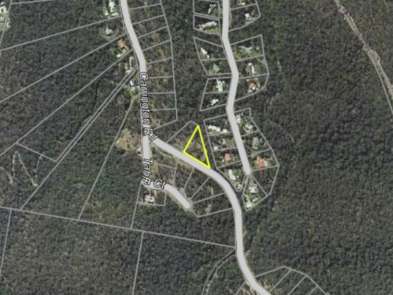 Photo - Lot 121 Carrington Road, Bonogin QLD 4213 - Image 3