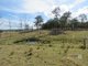 Photo - Lot 121 Gowings Hill Road, Dondingalong NSW 2440 - Image 24