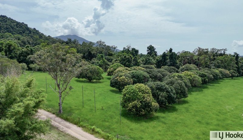 Photo - Lot 1/214 Tully Gorge Road, Tully QLD 4854 - Image 19