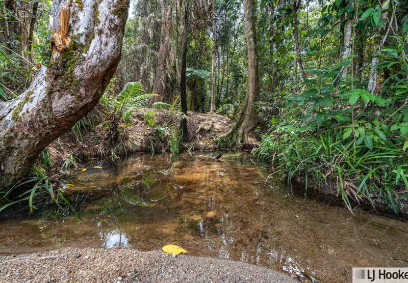 Photo - Lot 1/214 Tully Gorge Road, Tully QLD 4854 - Image 25