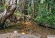 Photo - Lot 1/214 Tully Gorge Road, Tully QLD 4854 - Image 25