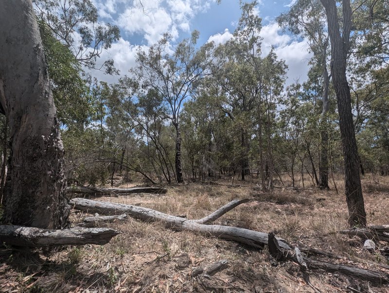 Photo - Lot 123 Beak Road, Bajool QLD 4699 - Image 2