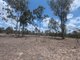 Photo - Lot 123 Beak Road, Bajool QLD 4699 - Image 3