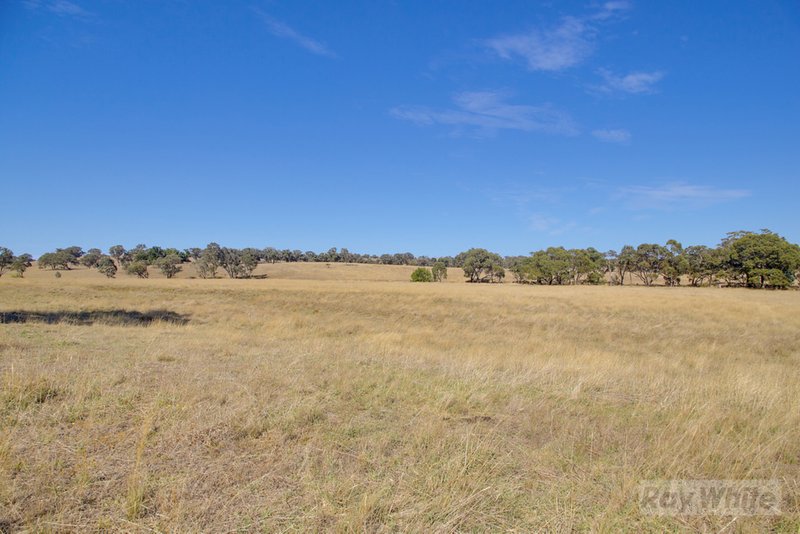 Photo - Lot 1,2,3 Gunning Road, Gunning NSW 2581 - Image 8