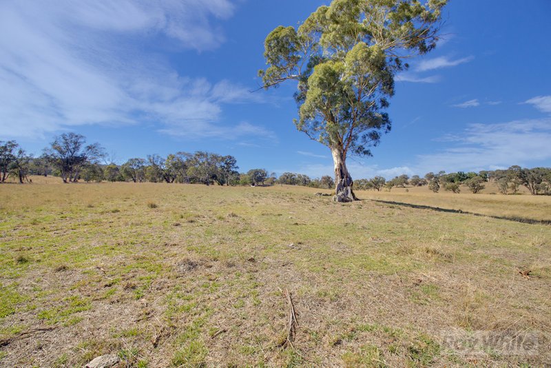 Photo - Lot 1,2,3 Gunning Road, Gunning NSW 2581 - Image 10
