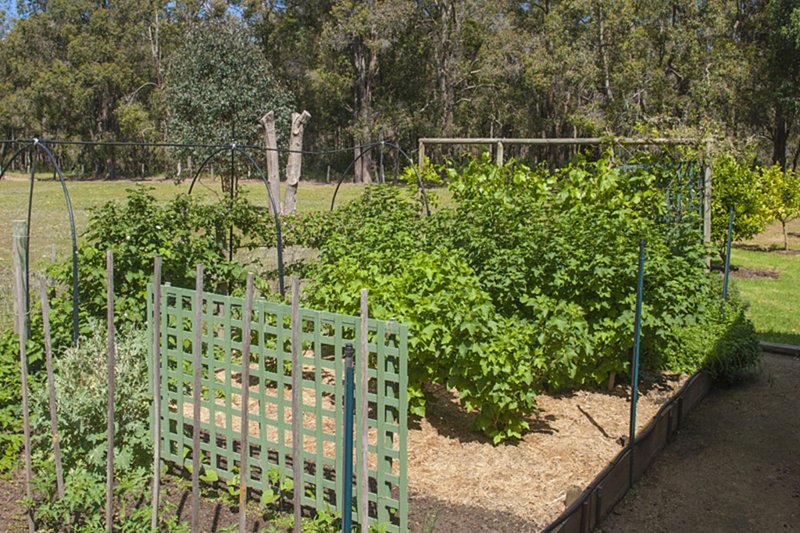 Photo - Lot 12363 Cundinup Road, Nannup WA 6275 - Image 11