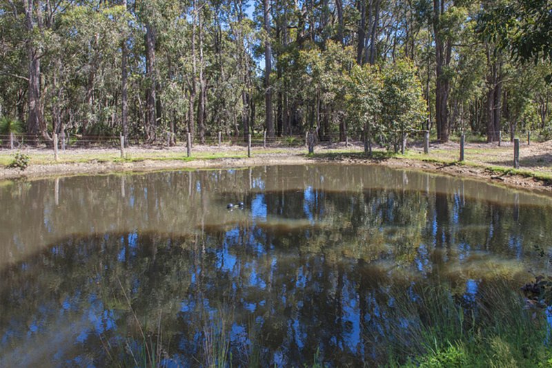 Photo - Lot 12363 Cundinup Road, Nannup WA 6275 - Image 12