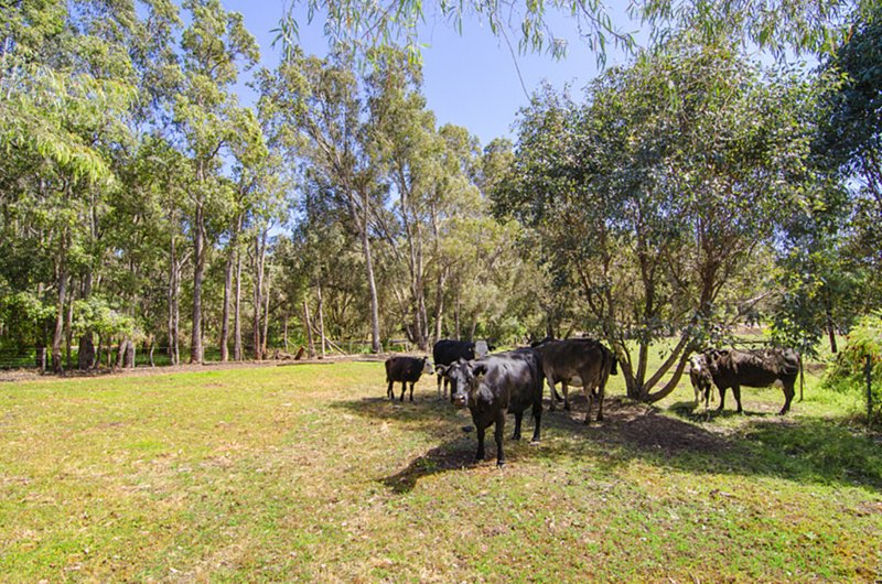 Photo - Lot 12363 Cundinup Road, Nannup WA 6275 - Image 13