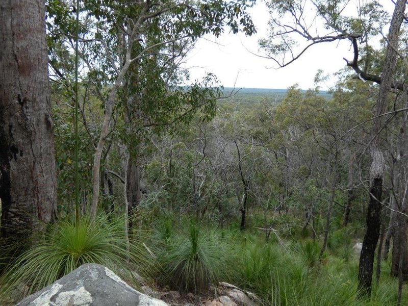 Photo - Lot 125 Seabreeze Court, Deepwater QLD 4674 - Image 1