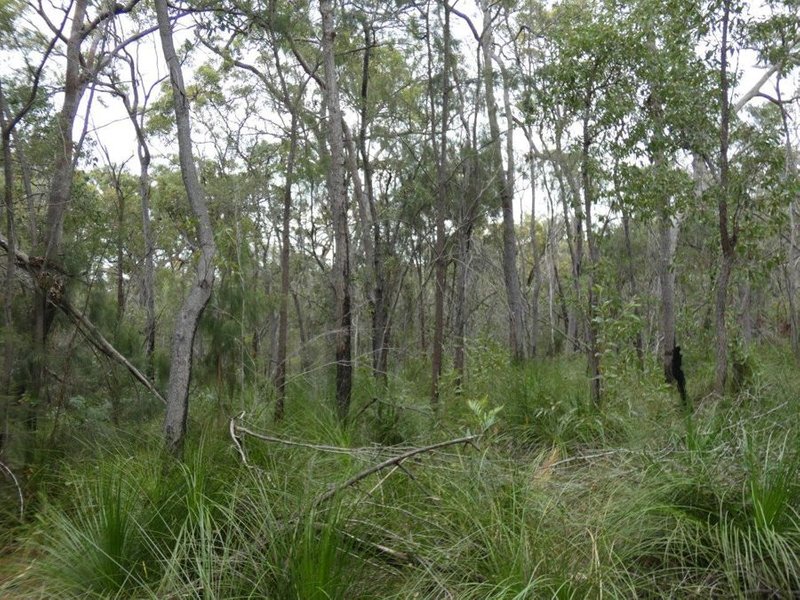 Photo - Lot 125 Seabreeze Court, Deepwater QLD 4674 - Image 7